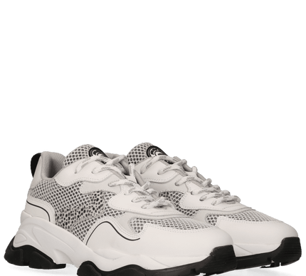 Toni Sneakers White