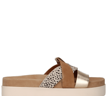 BARI slippers in Cognac