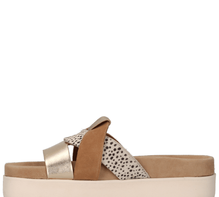 BARI slippers in Cognac