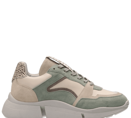 Cody Sneakers with a Touch of Style