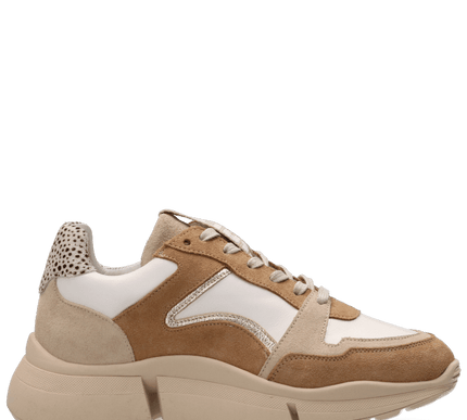 Cody Sneakers with a Touch of Style