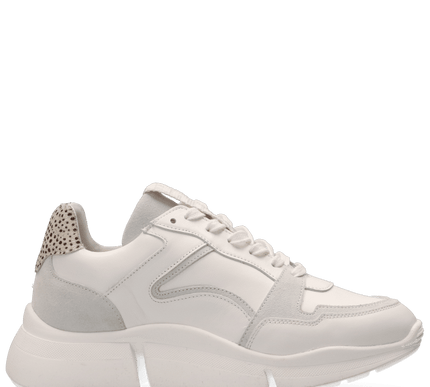 Cody Sneakers with a Touch of Style