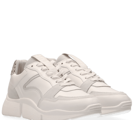 Cody Sneakers with a Touch of Style