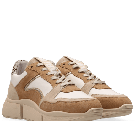 Cody Sneakers with a Touch of Style