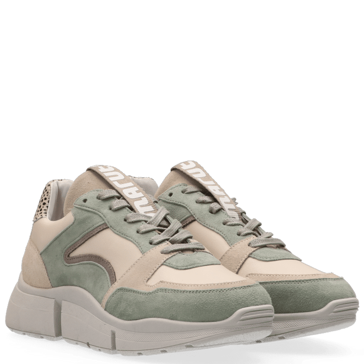 Cody Sneakers with a Touch of Style