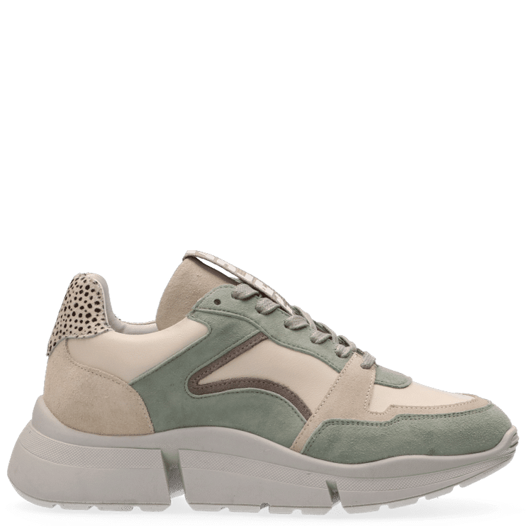 Cody Sneakers with a Touch of Style