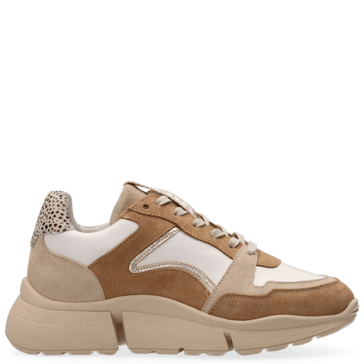 Cody Sneakers with a Touch of Style