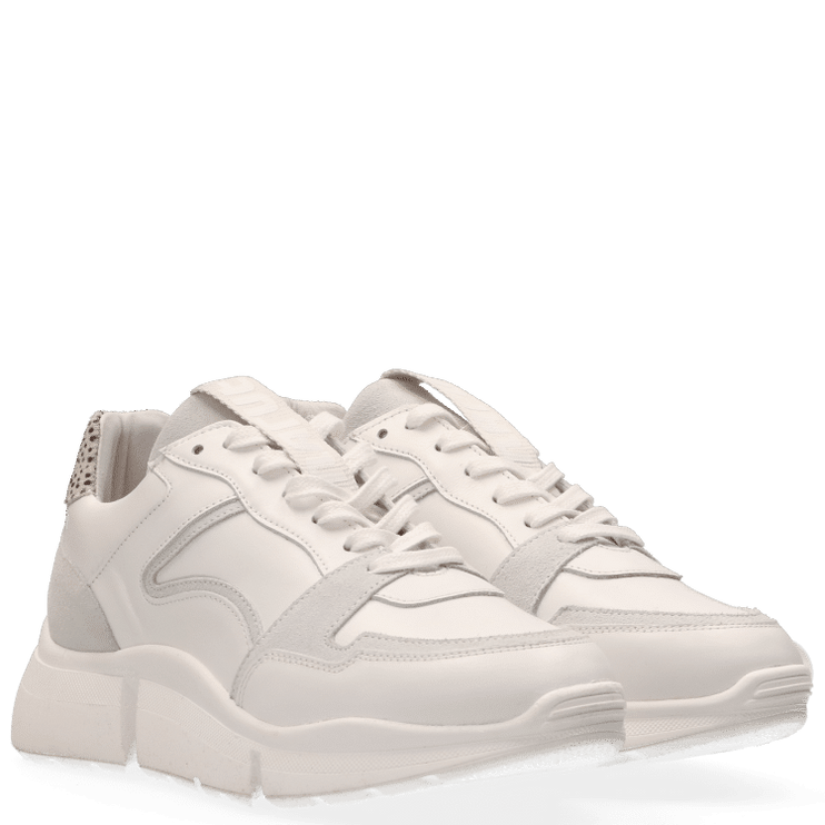 Cody Sneakers with a Touch of Style