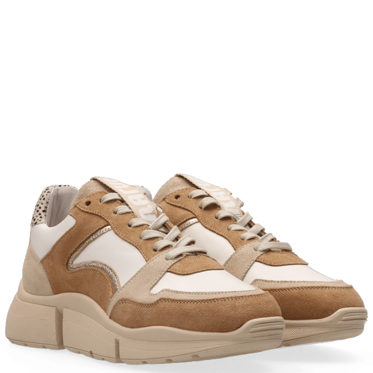 Cody Sneakers with a Touch of Style