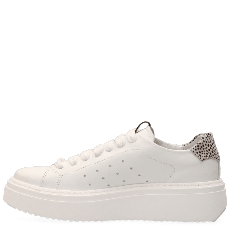 Fox Sneakers in Crisp White