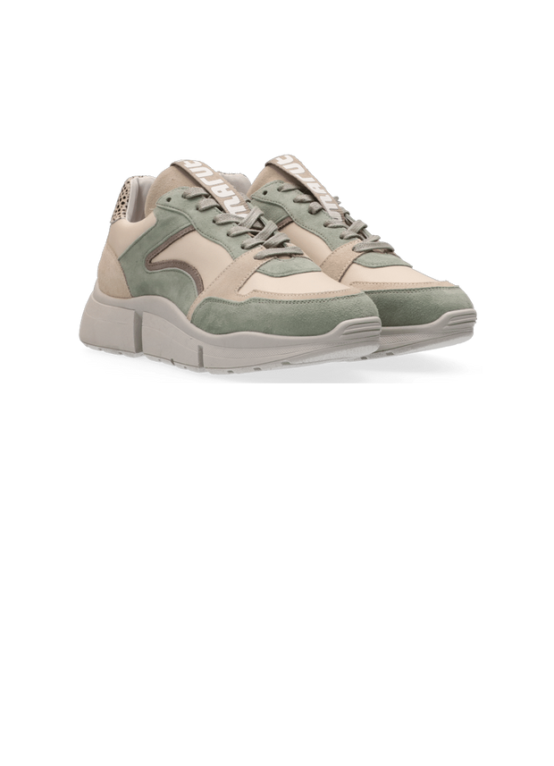 <h2>jolie sneakers</h2>